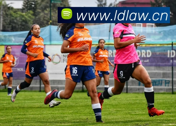 九游在线官方官网平台生态图